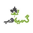کارشناس صنایع (مشهد) - هلدینگ دانش بنیان گرین وب
